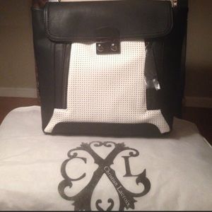 Christian Lacroix 'Chartres' Messenger Bac…